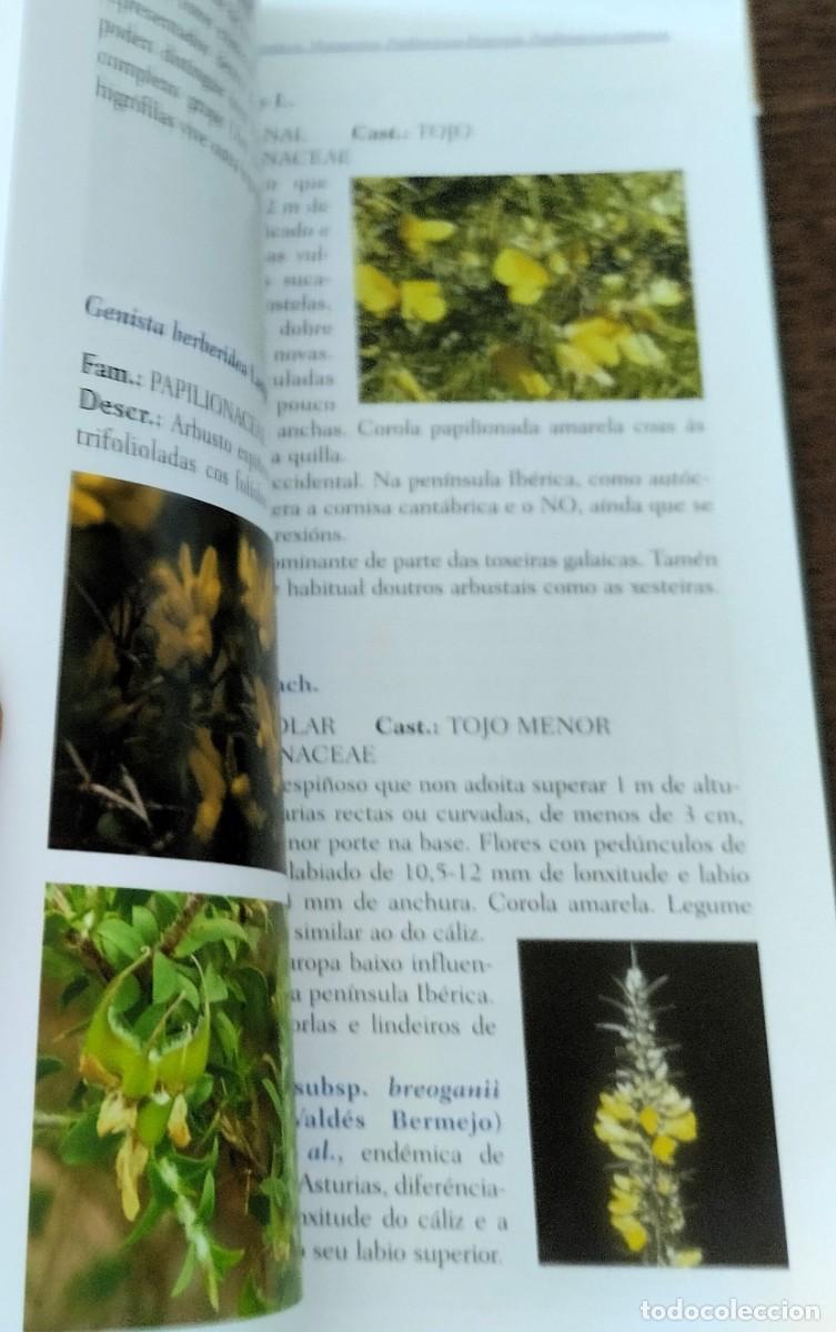 Libros de segunda mano: Gu&iacute;a de flora, Parque natural Fraga de Eume, Xunta de Galicia, 2016, - Foto 4