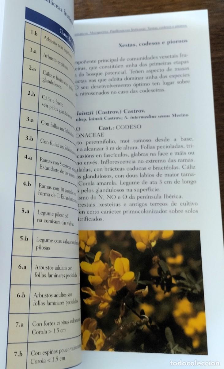 Libros de segunda mano: Gu&iacute;a de flora, Parque natural Fraga de Eume, Xunta de Galicia, 2016, - Foto 5