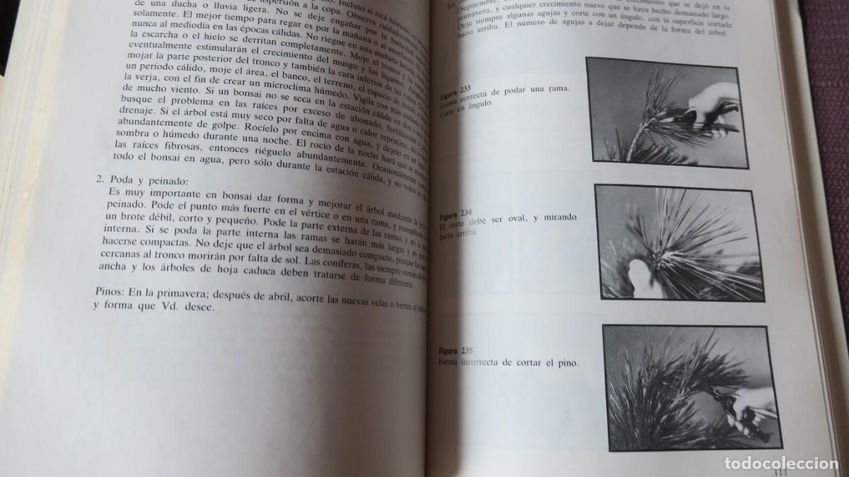 Libros de segunda mano: T&eacute;cnicas de bonsai -John Yoshio Naka (Omega) - Foto 3
