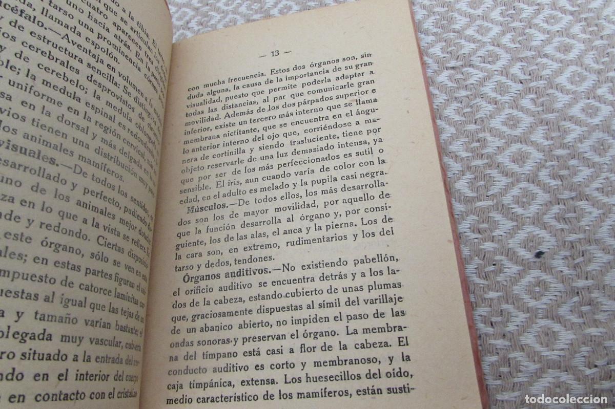 Libros de segunda mano: LA PERDIZ ROJA 1937 FERNANDO MARTINEZ PEREDA - Foto 7