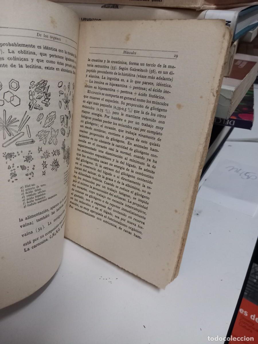 Libros de segunda mano de ciencias: Qu&iacute;mica biol&oacute;gica - Legahn, Dr. A. Tomo 2. - Foto 4