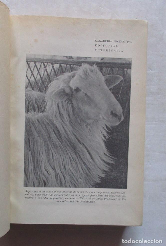 Libros de segunda mano: GANADO LANAR - DR. A. ROMAGOSA VILA - Foto 3