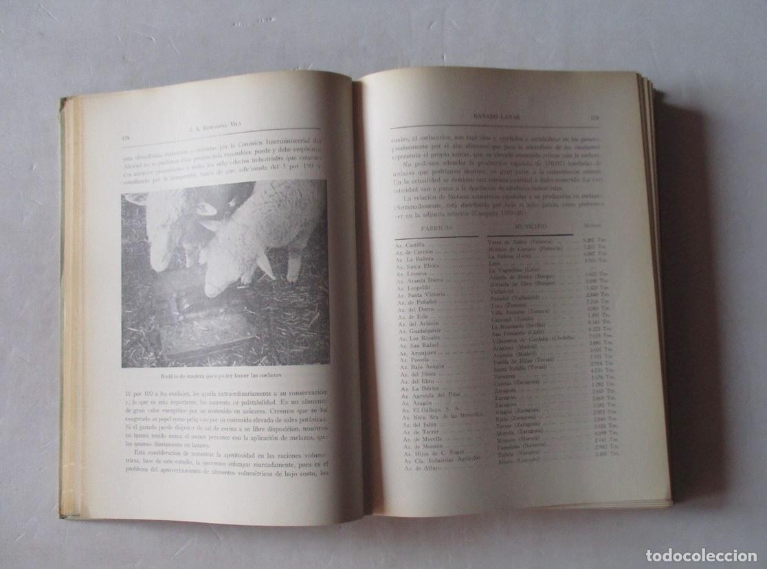 Libros de segunda mano: GANADO LANAR - DR. A. ROMAGOSA VILA - Foto 5