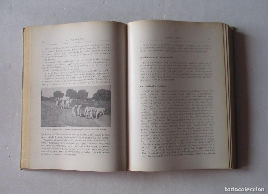 Libros de segunda mano: GANADO LANAR - DR. A. ROMAGOSA VILA - Foto 6