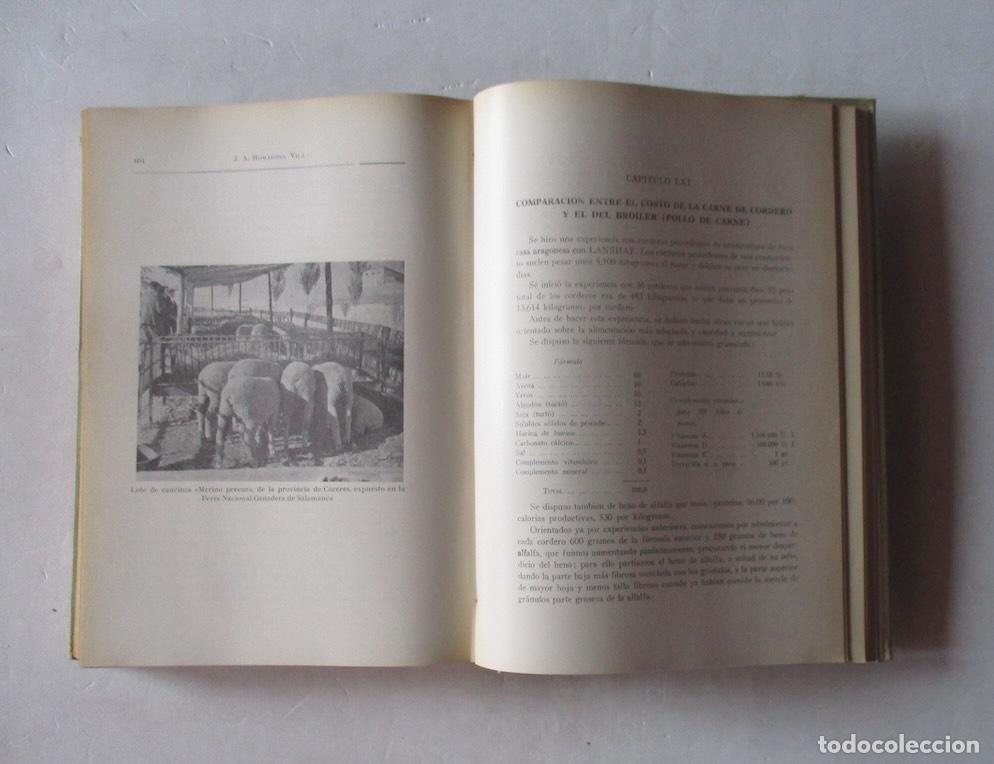 Libros de segunda mano: GANADO LANAR - DR. A. ROMAGOSA VILA - Foto 7