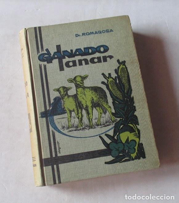 Libros de segunda mano: GANADO LANAR - DR. A. ROMAGOSA VILA - Foto 8