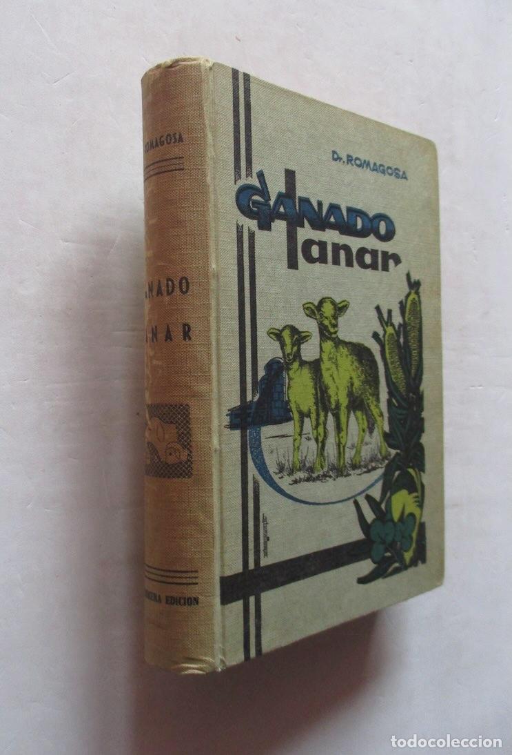 Libros de segunda mano: GANADO LANAR - DR. A. ROMAGOSA VILA - Foto 1