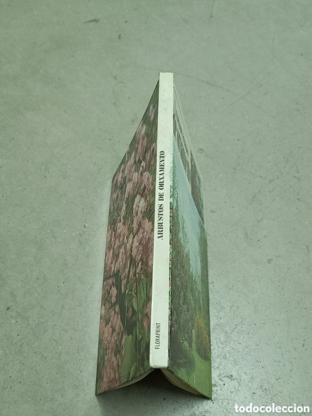 Libros de segunda mano: ARBUSTOS DE ORNAMENTO - ED. FLORAPRINT 1973 - Foto 2