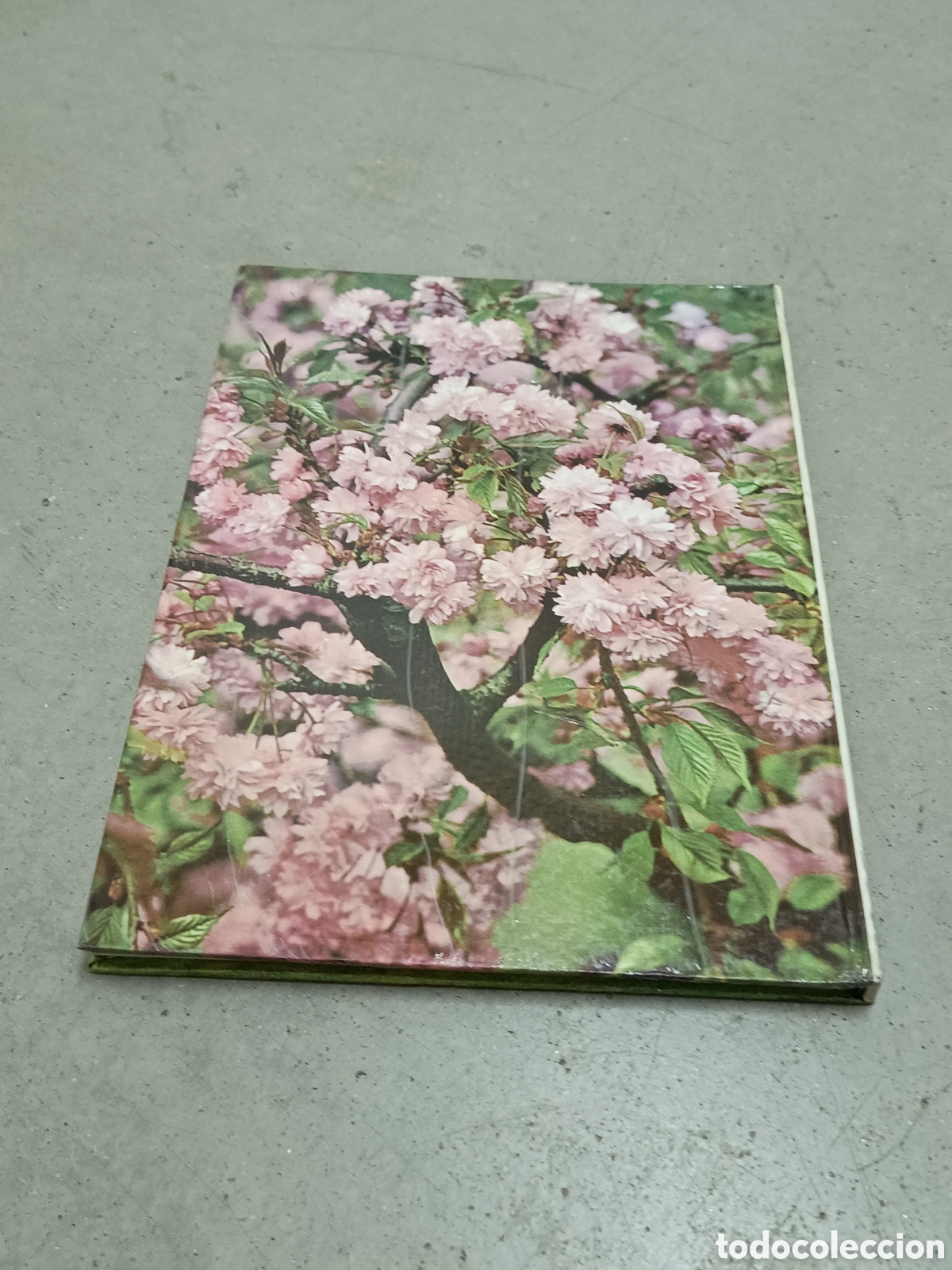 Libros de segunda mano: ARBUSTOS DE ORNAMENTO - ED. FLORAPRINT 1973 - Foto 3