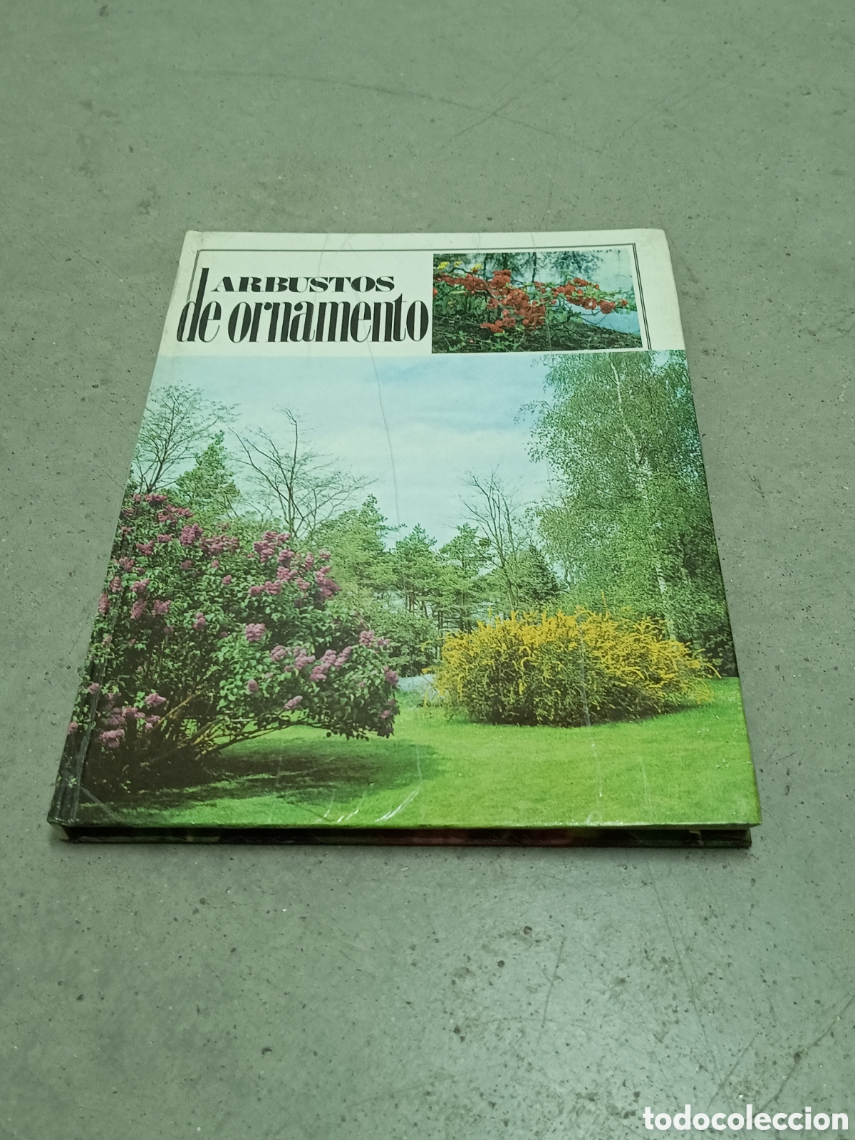 Libros de segunda mano: ARBUSTOS DE ORNAMENTO - ED. FLORAPRINT 1973 - Foto 1