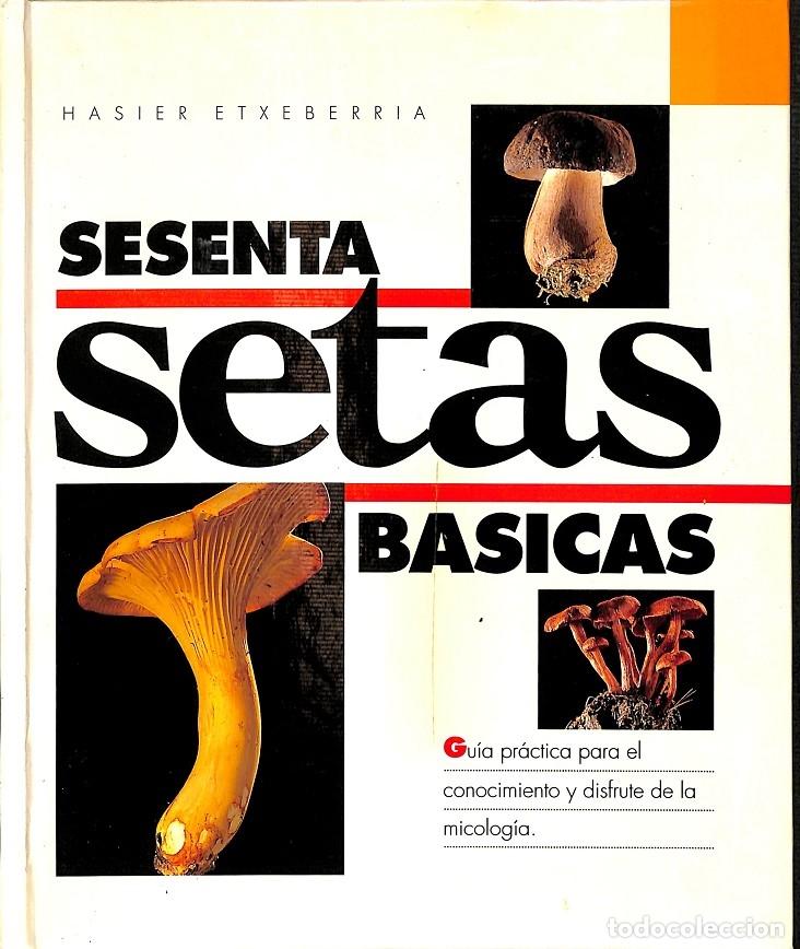 Libros de segunda mano: SESENTA SETAS BASICAS - HASIER ETXEBARRIA - EDITORES VARIOS - Foto 1