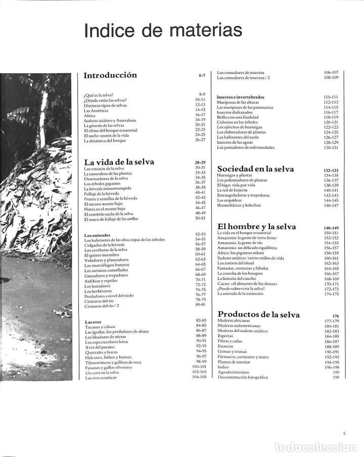 Libros de segunda mano: SELVAS: &Uacute;LTIMAS RESERVAS VIDA - EDWARD S. AYENSU - EDICIONES FOLIO - 1981 - Foto 2