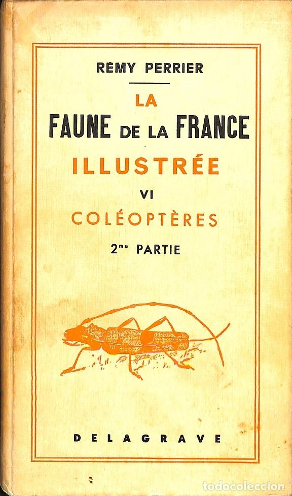 Libri di seconda mano: LA FAUNE DE LA FRANCE ILLUSTR&Eacute;E VI COLEOPTERES 2 PARTIE - REMY PERRIER - EDITORIAL CH. DELAGRAVE - 1