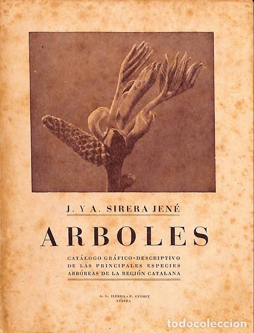 Libros de segunda mano: ARBOLES - V.V.A - EDITORES VARIOS - Foto 1