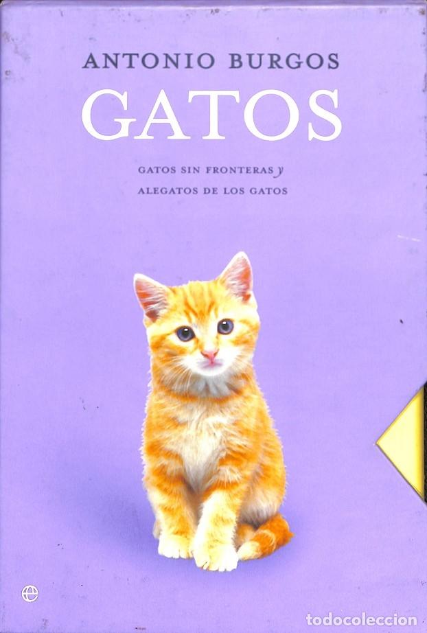 Libri di seconda mano: GATOS - ANTONIO BURGOS - La Esfera De Los Libros - 2004