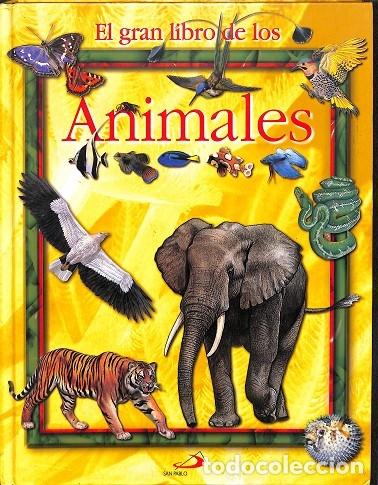 Libros de segunda mano: EL GRAN LIBRO DE LOS ANIMALES - V.V.A - Ediciones San Pablo - 2003 - Foto 1