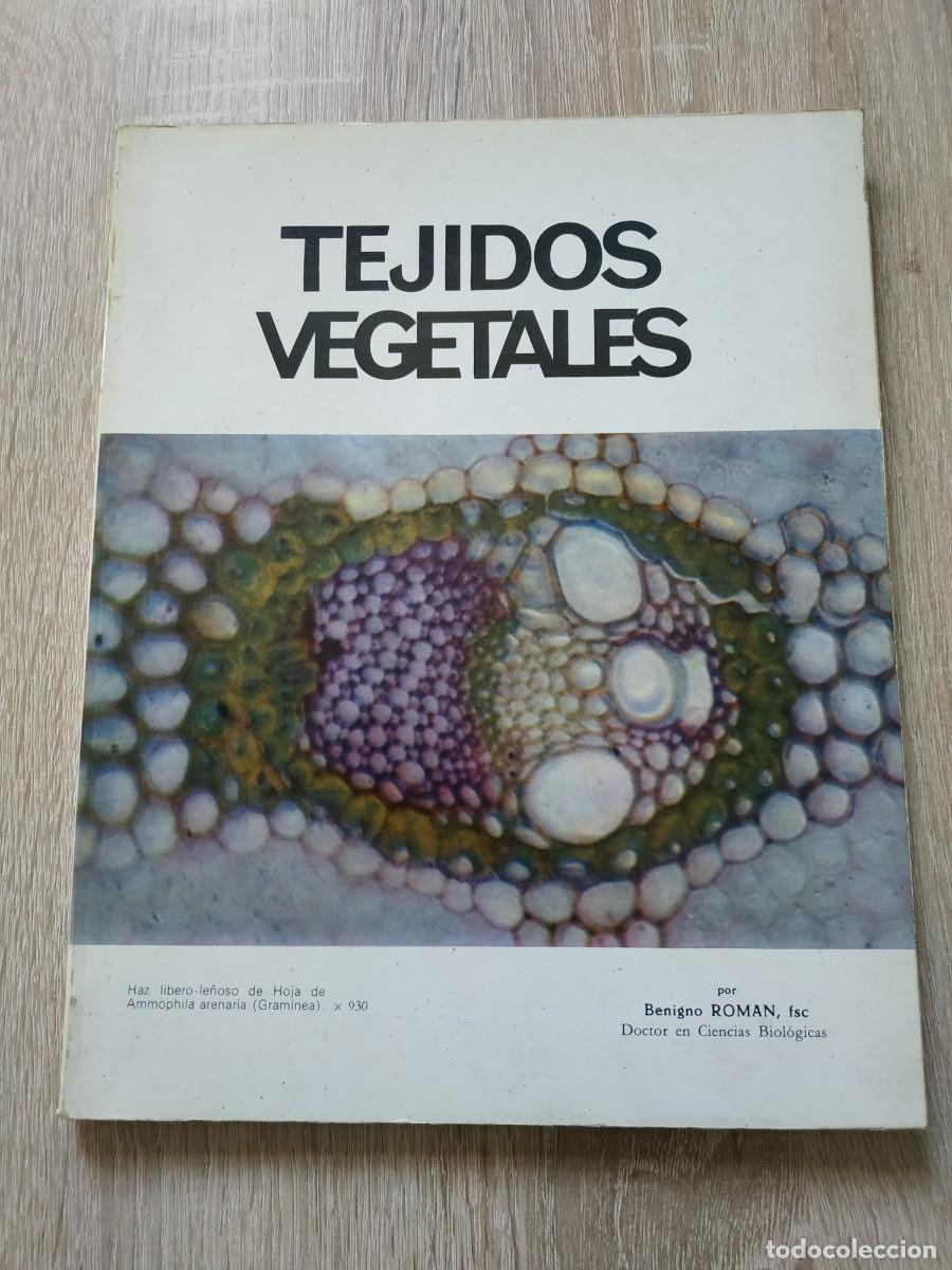 Libros de segunda mano: Tejidos vegetales - Benigno Rom&aacute;n - Foto 1