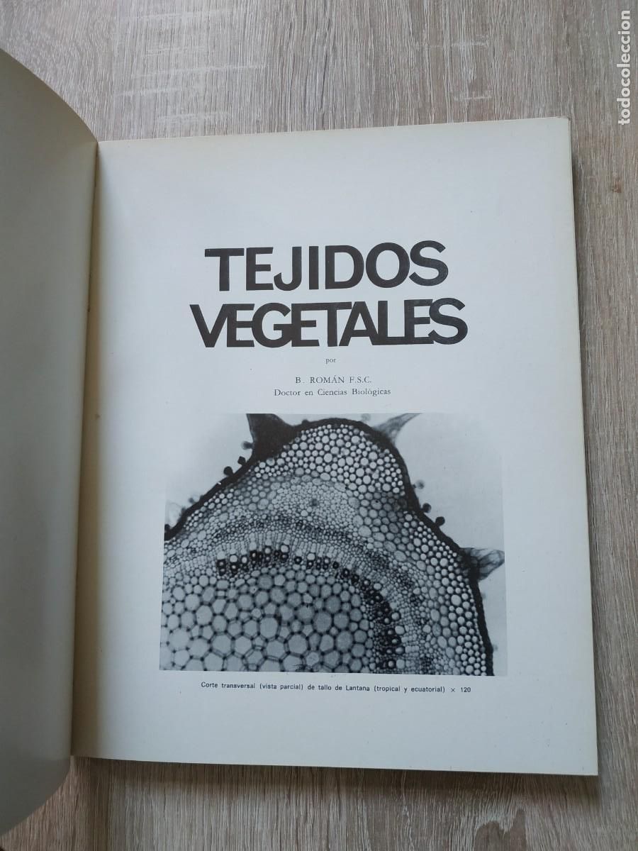 Libros de segunda mano: Tejidos vegetales - Benigno Rom&aacute;n - Foto 3