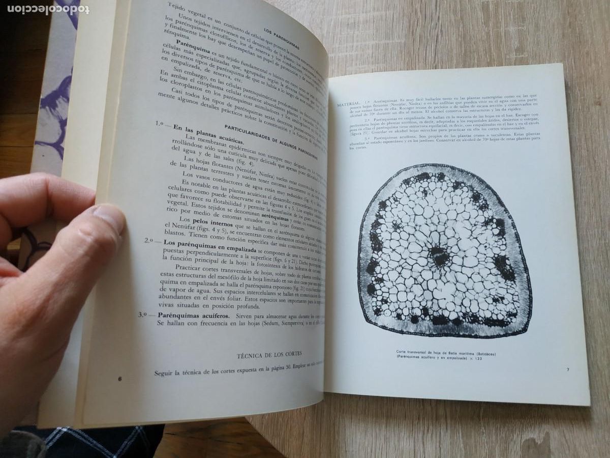 Libros de segunda mano: Tejidos vegetales - Benigno Rom&aacute;n - Foto 4