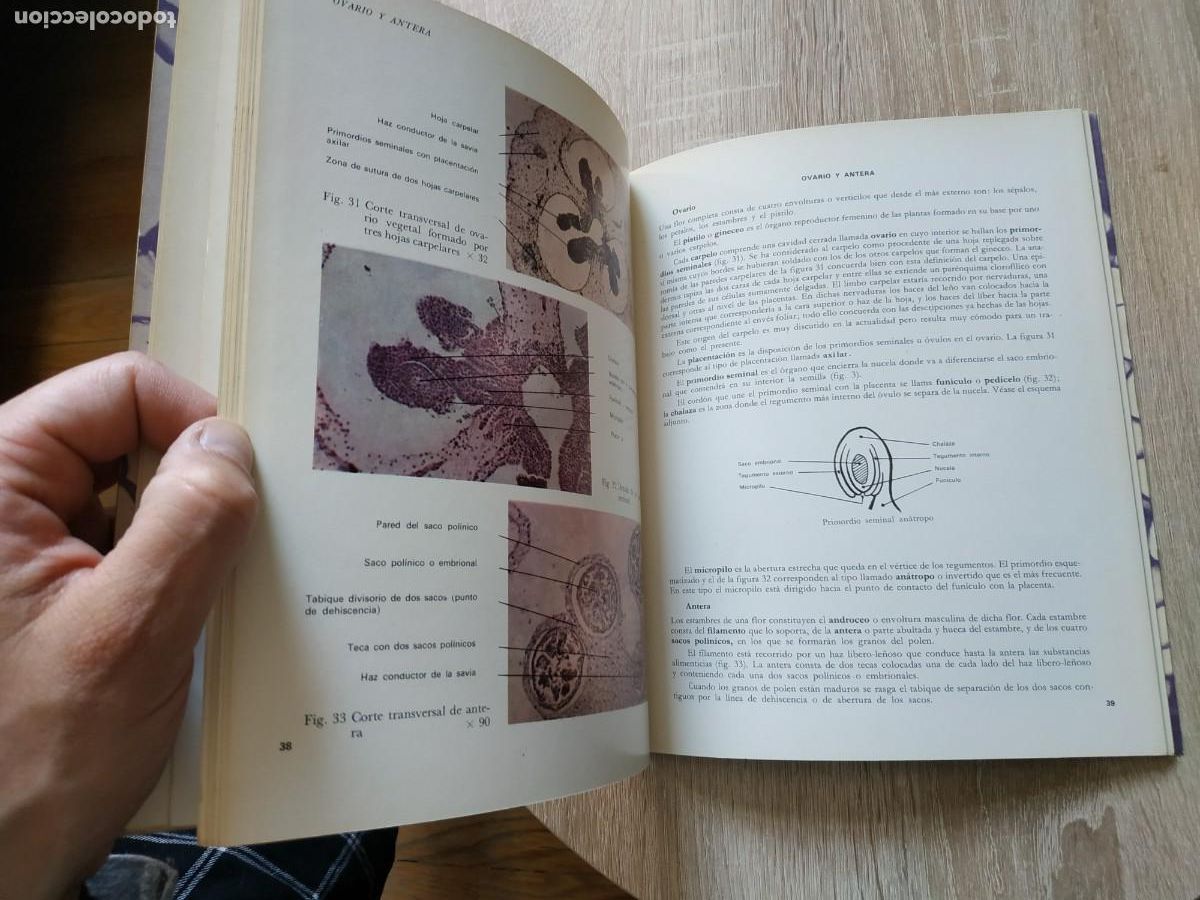Libros de segunda mano: Tejidos vegetales - Benigno Rom&aacute;n - Foto 5