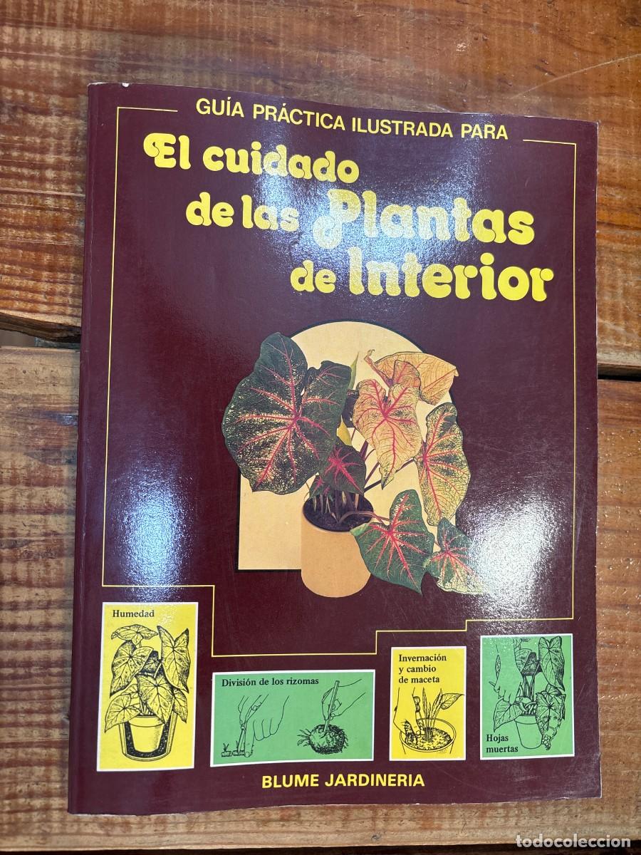 Libros de segunda mano: El cuidado de las plantas de interior (Spanish Edition) Longman, David - Foto 1