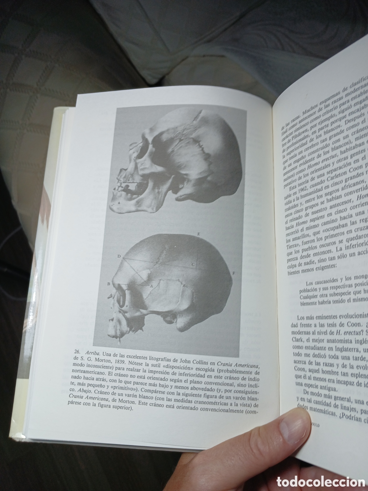 Libros de segunda mano: La sonrisa del flamenco, Stephen Jay Gould - Foto 2