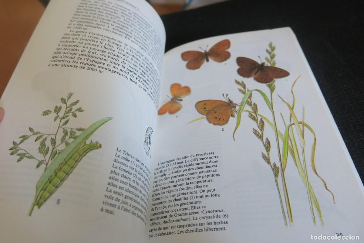 Libros de segunda mano: PAPILLONS (EN FRANCAIS) - Foto 2