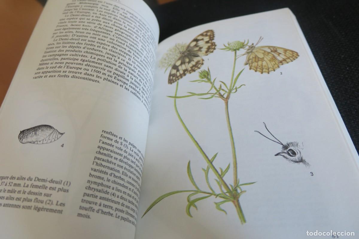 Libros de segunda mano: PAPILLONS (EN FRANCAIS) - Foto 3