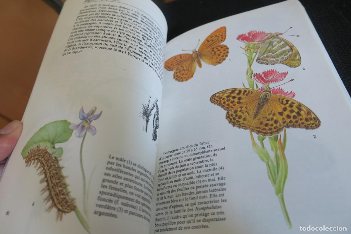 Libros de segunda mano: PAPILLONS (EN FRANCAIS) - Foto 4