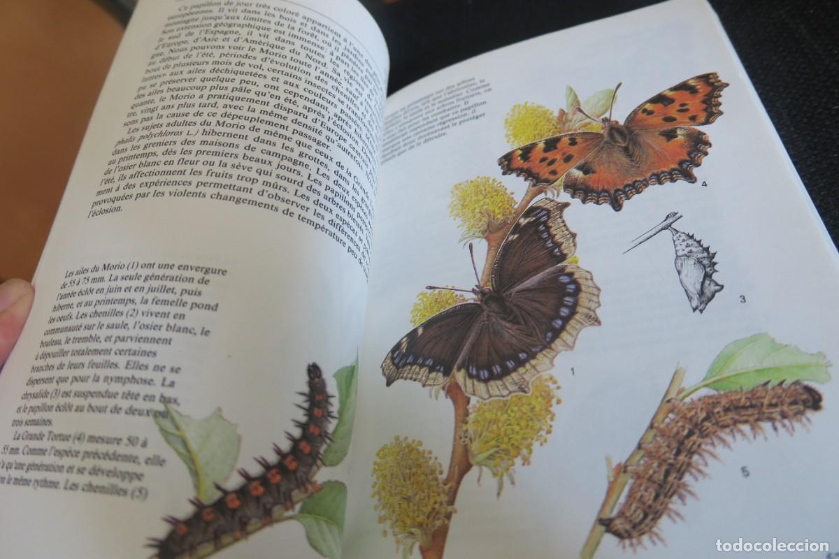 Libros de segunda mano: PAPILLONS (EN FRANCAIS) - Foto 5