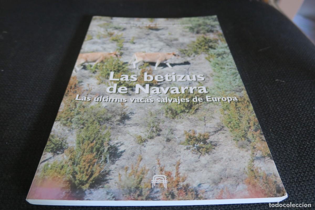Libros de segunda mano: Las betizus de Navarra. Las &uacute;ltimas vacas salvajes de Europa