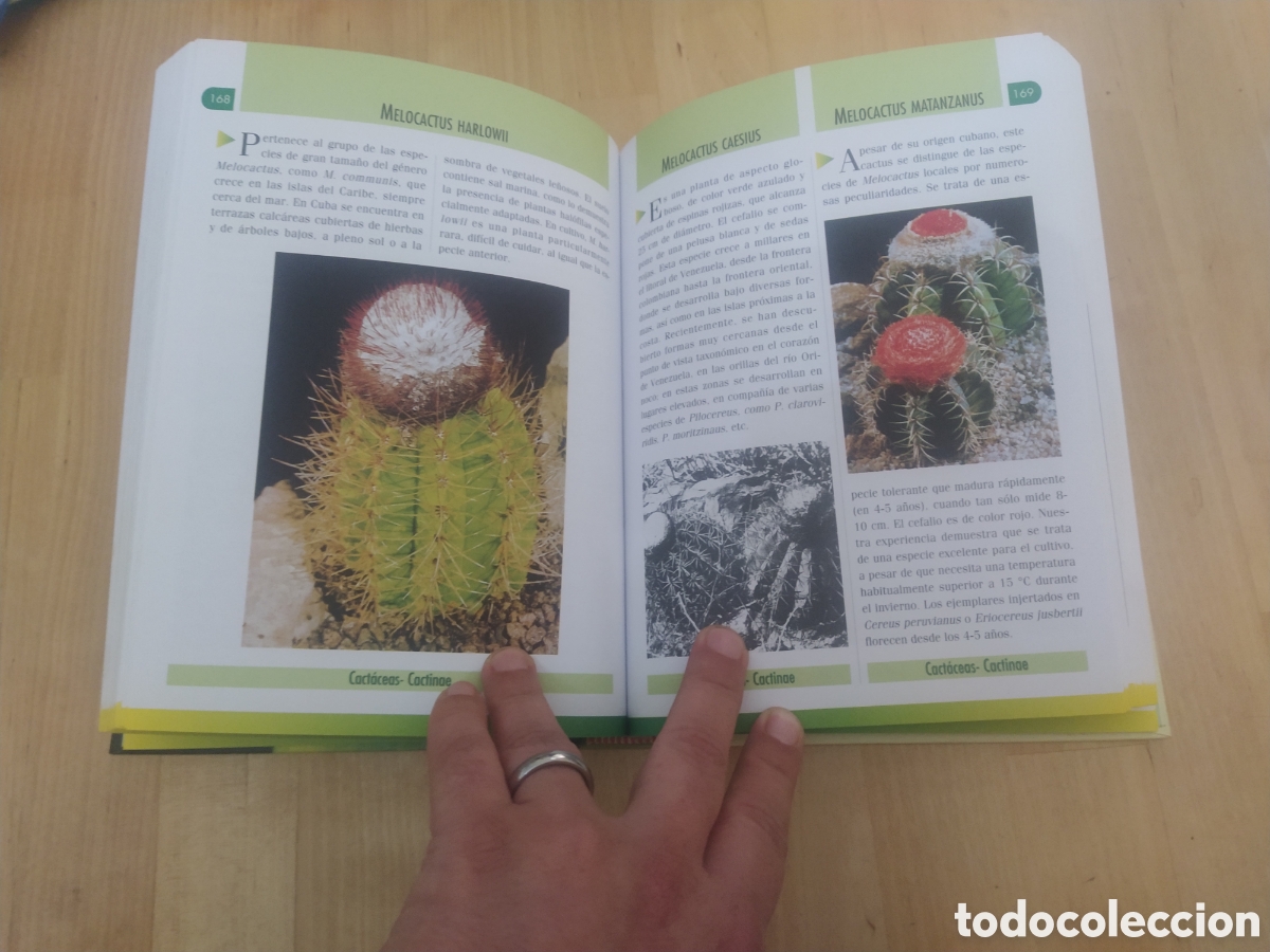 Libros de segunda mano: MANUAL DE CACTUS Y OTRAS PLANTAS SUCULENTAS - Foto 4