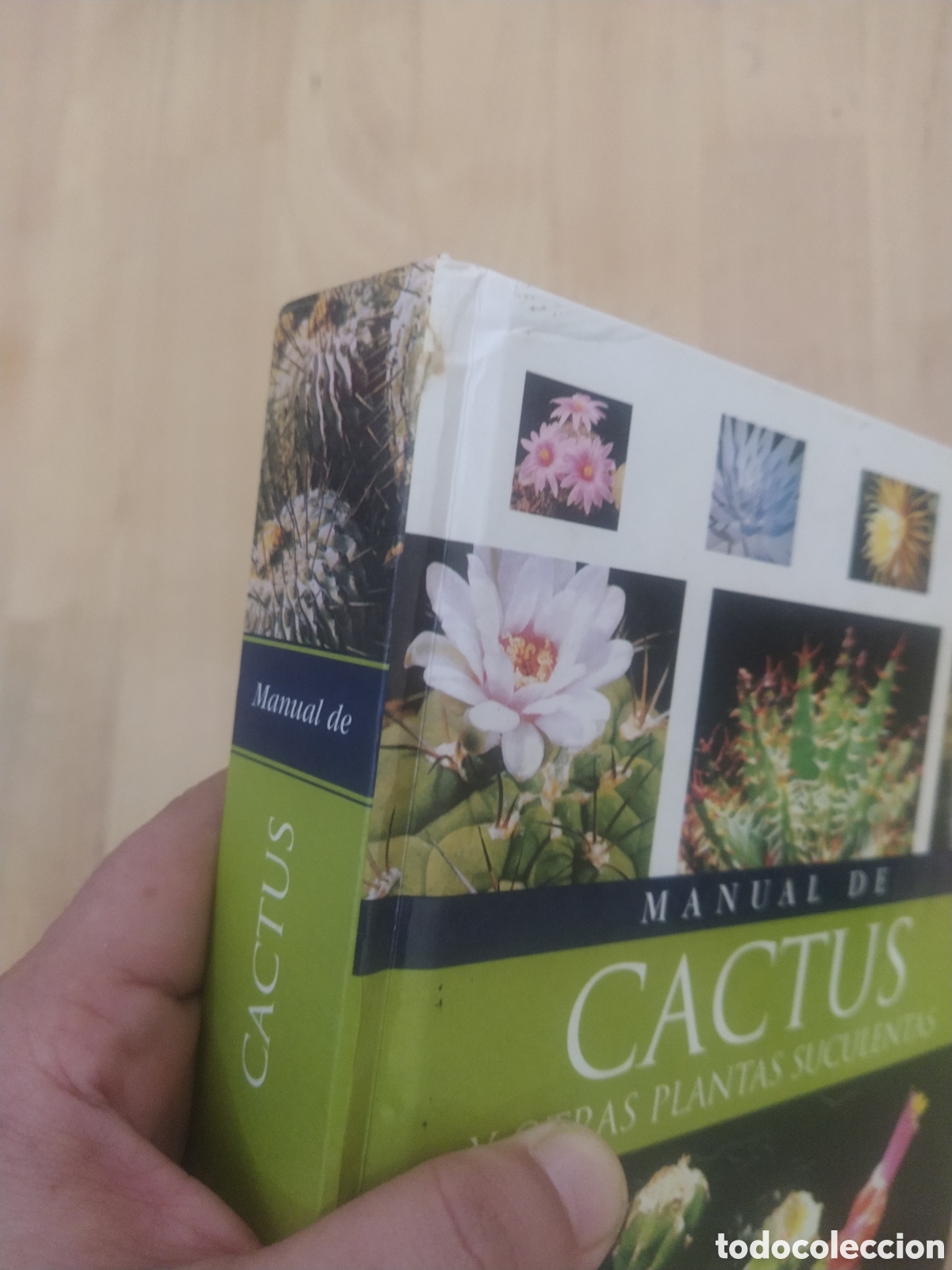 Libros de segunda mano: MANUAL DE CACTUS Y OTRAS PLANTAS SUCULENTAS - Foto 6