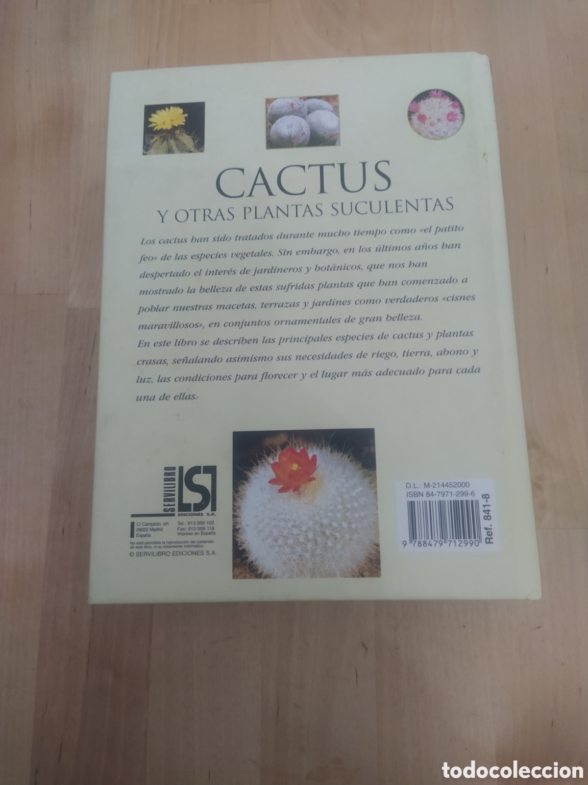 Libros de segunda mano: MANUAL DE CACTUS Y OTRAS PLANTAS SUCULENTAS - Foto 7