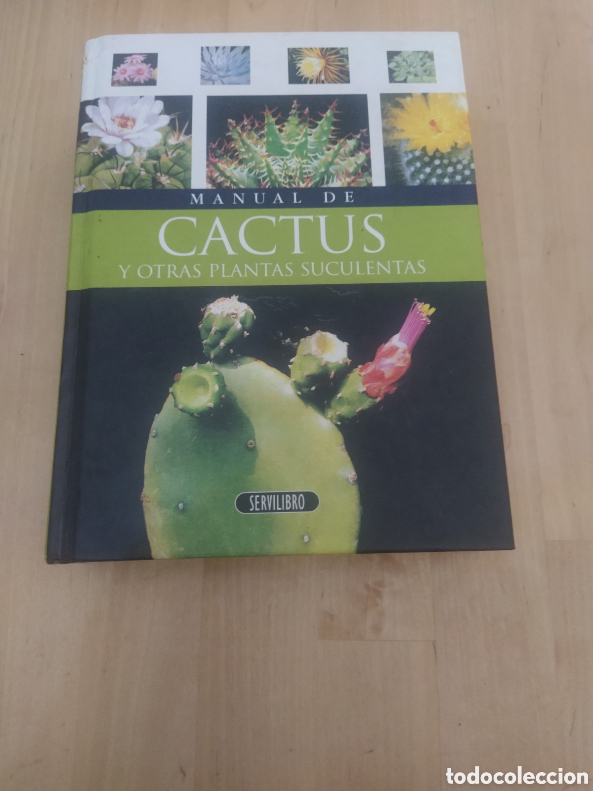 Libros de segunda mano: MANUAL DE CACTUS Y OTRAS PLANTAS SUCULENTAS - Foto 1