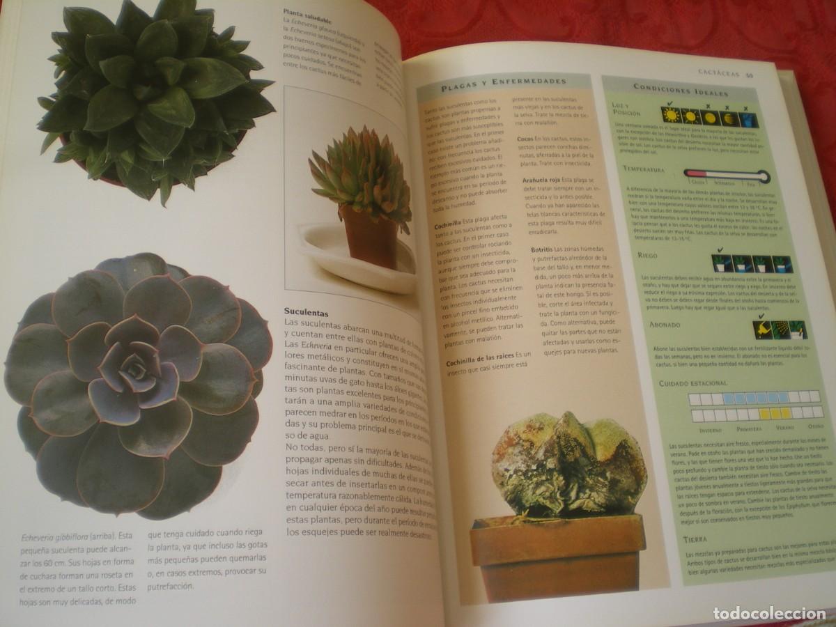 Libros de segunda mano: MANUAL DE SUPERVIVENCIA DE LAS PLANTAS DE INTERIOR. C&Iacute;RCULO DE LECTORES. - Foto 4