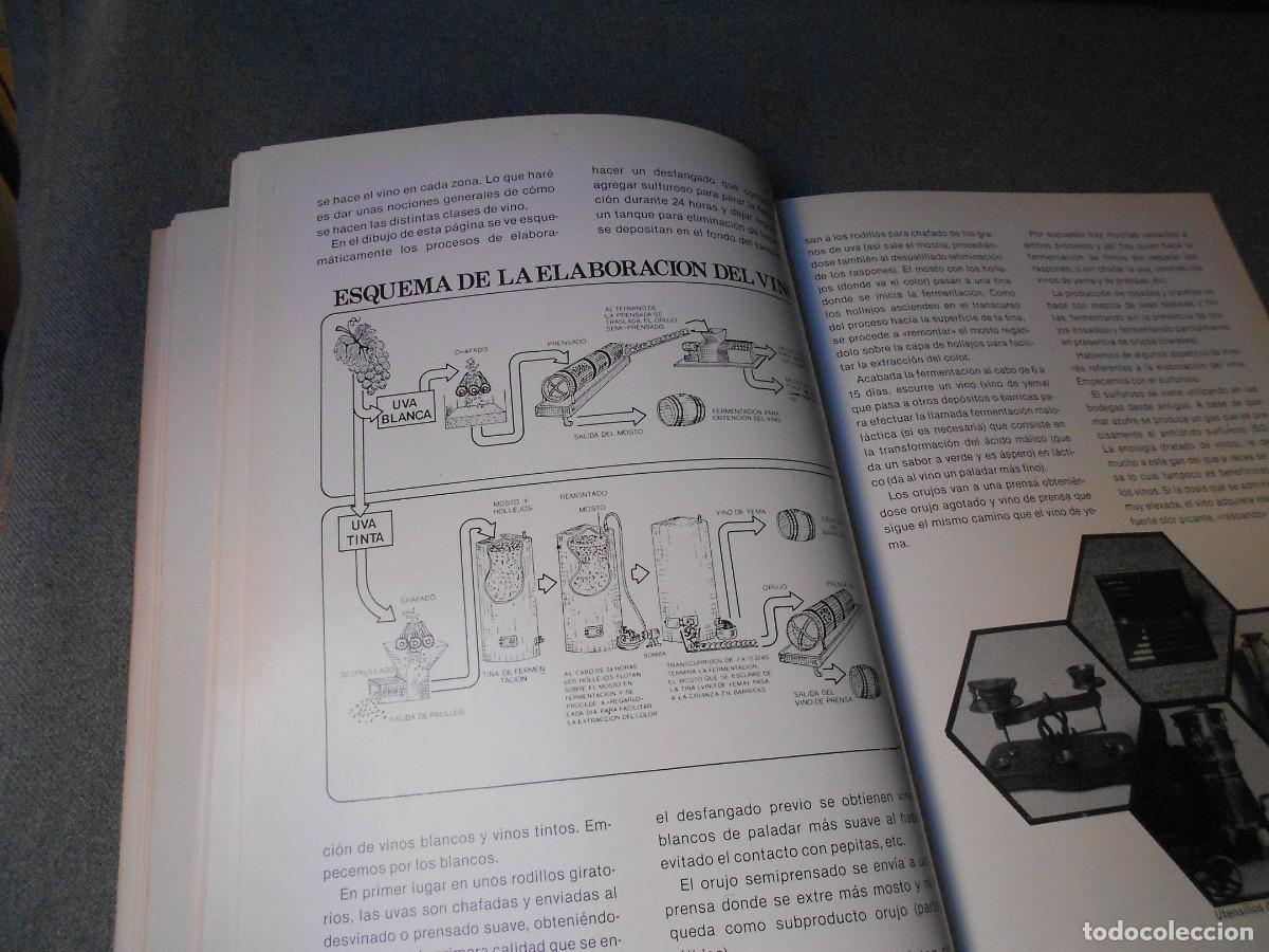 Libros de segunda mano: VINOS DE ESPA&Ntilde;A. ANTONIO MADRID. - Foto 6