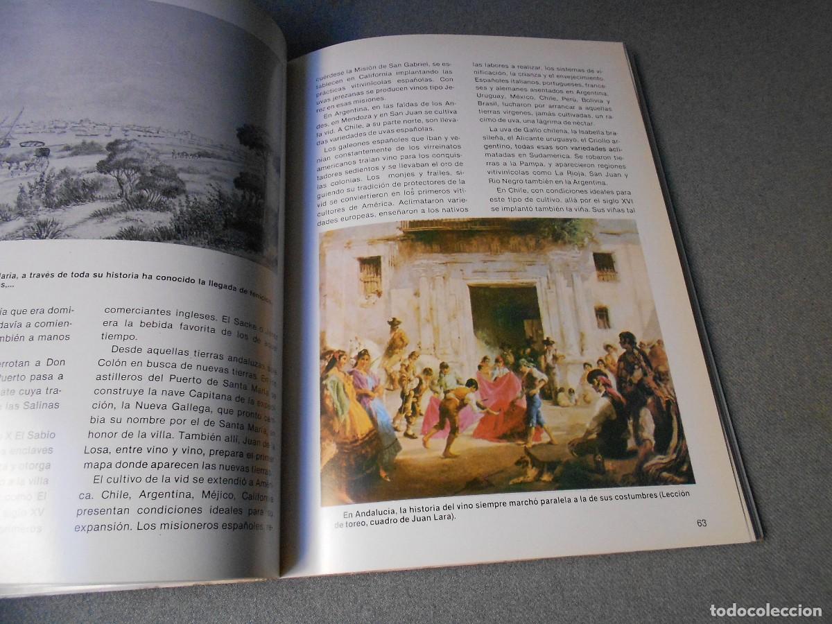 Libros de segunda mano: VINOS DE ESPA&Ntilde;A. ANTONIO MADRID. - Foto 9
