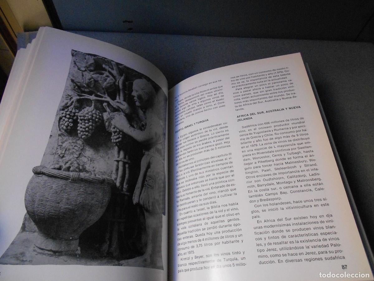 Libros de segunda mano: VINOS DE ESPA&Ntilde;A. ANTONIO MADRID. - Foto 10