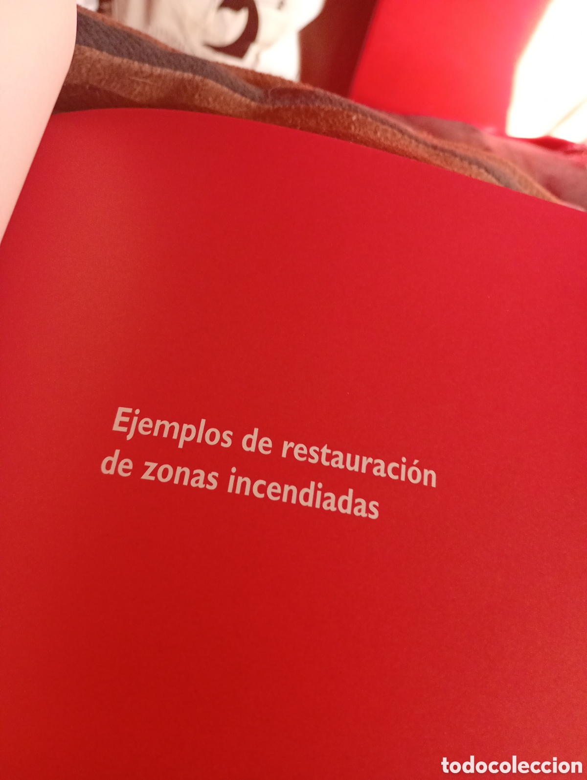 Libros de segunda mano: Criterios de restauraci&oacute;n de zonas incendiadas - Foto 2