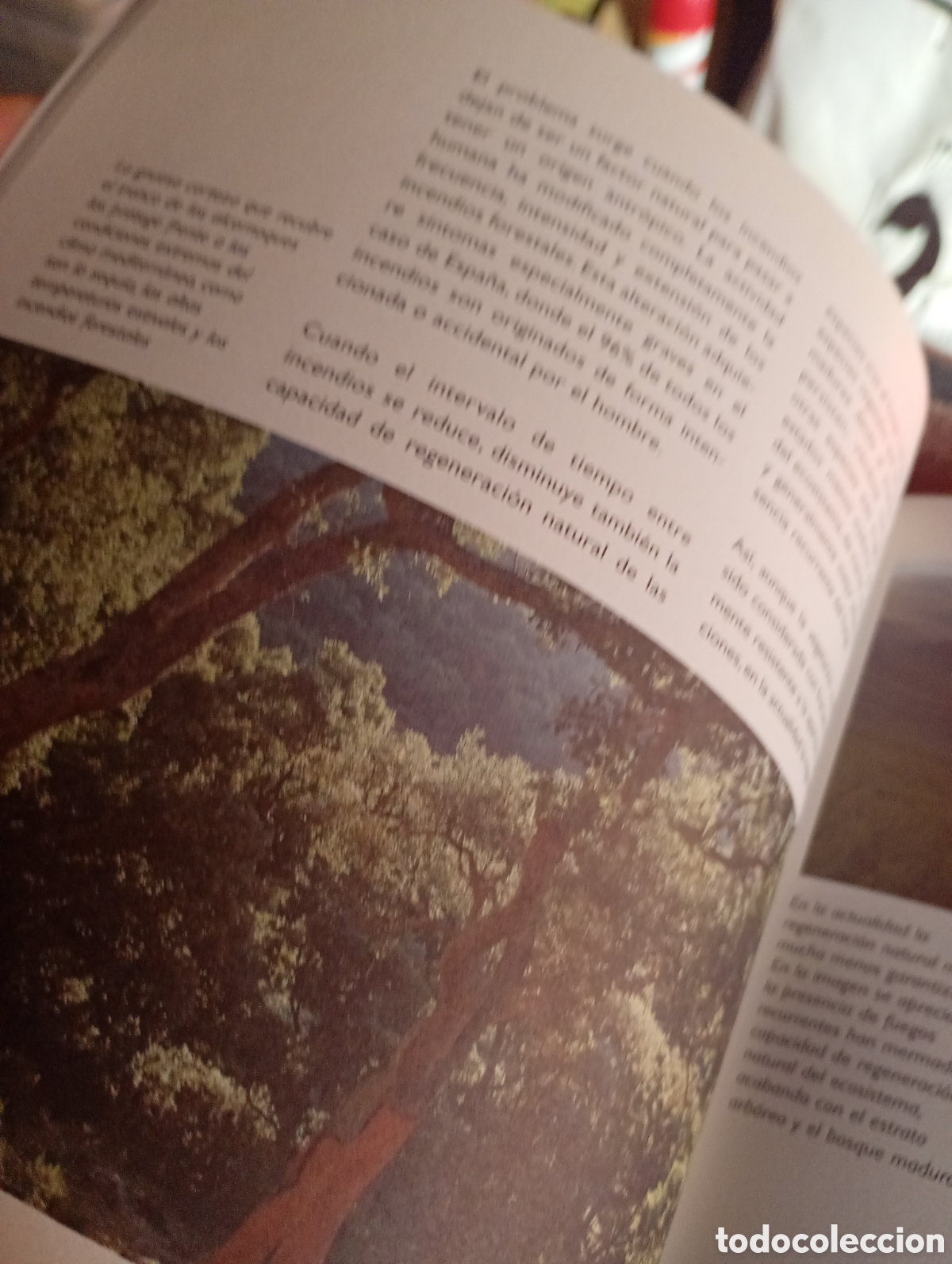 Libros de segunda mano: Criterios de restauraci&oacute;n de zonas incendiadas - Foto 3