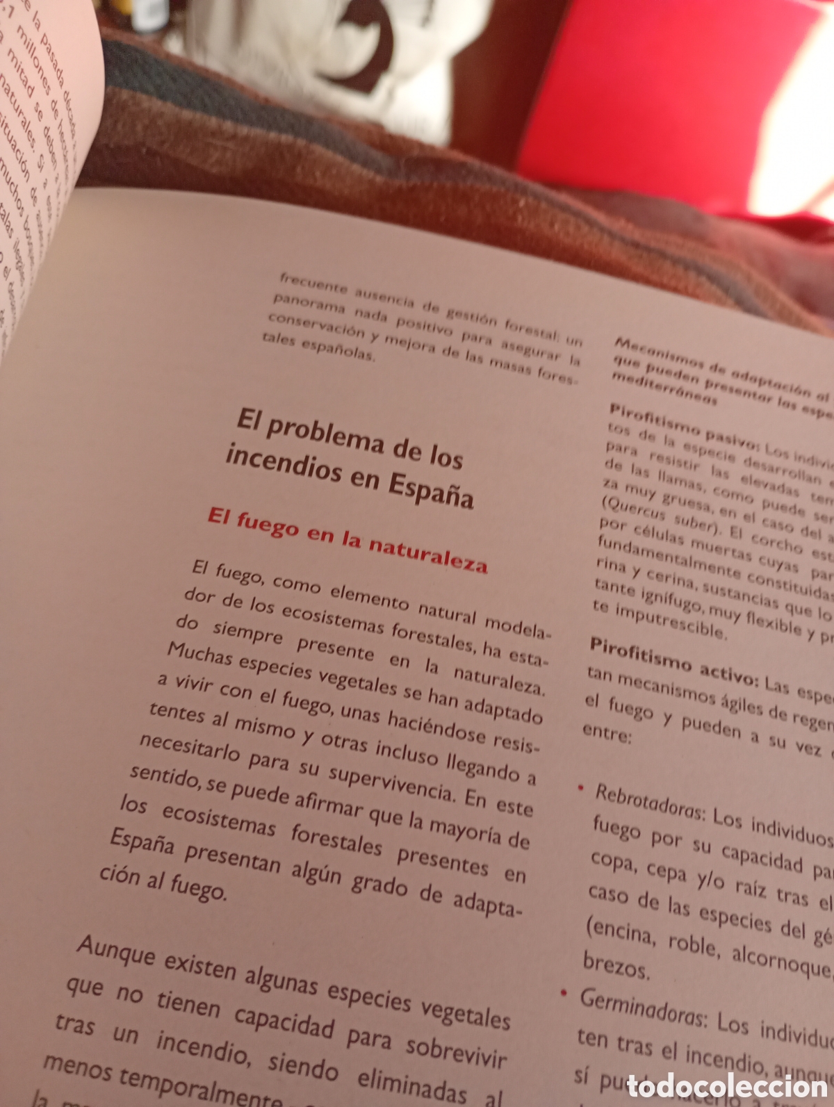 Libros de segunda mano: Criterios de restauraci&oacute;n de zonas incendiadas - Foto 4