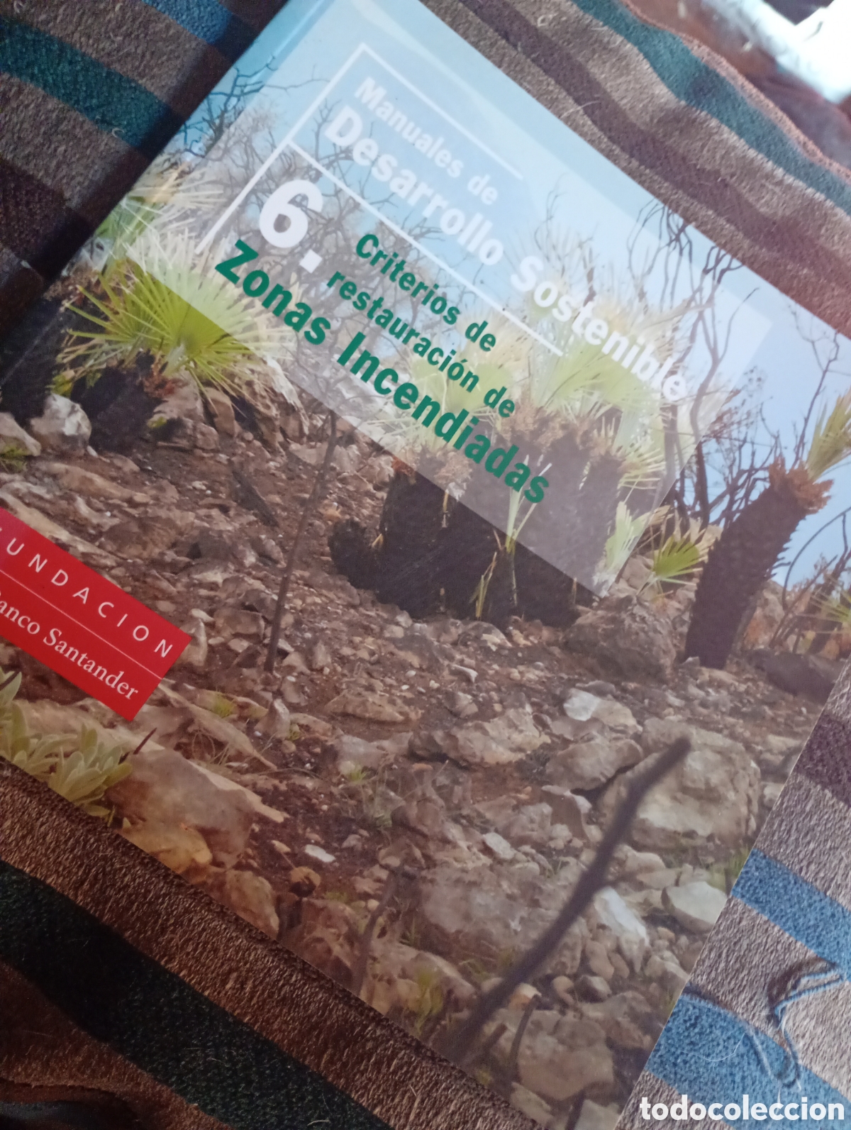 Libros de segunda mano: Criterios de restauraci&oacute;n de zonas incendiadas - Foto 1