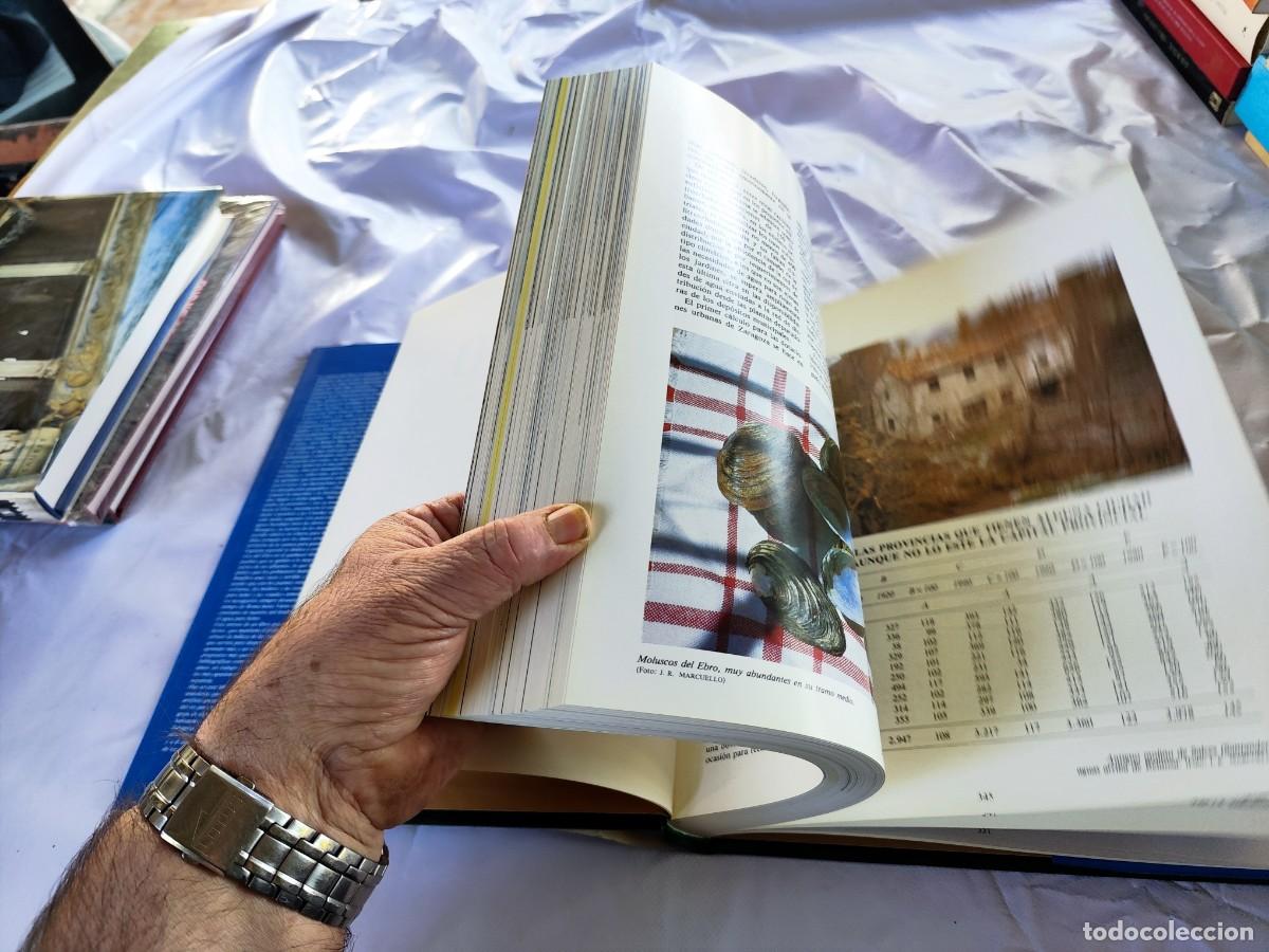 Libros de segunda mano: EL EBRO / JOSE RAMON MARCUELLO / GARA101 / OROEL / ARAGON - Foto 11