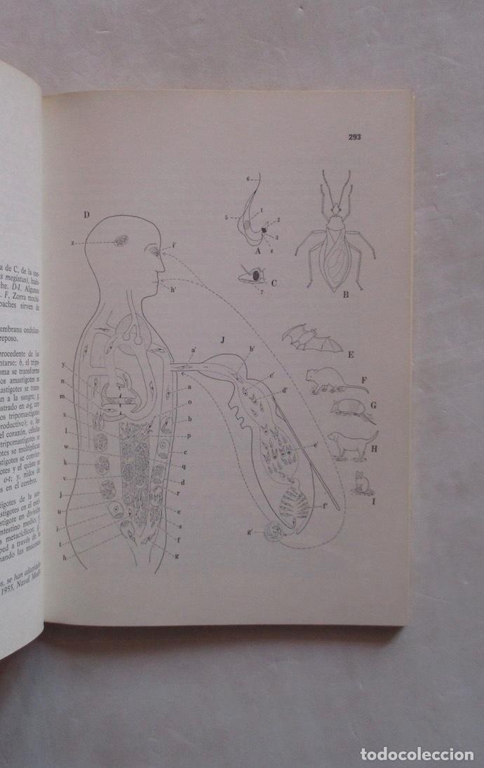 Libros de segunda mano: LAS ZOONOSIS - LAUREANO SAIZ MORENO - Foto 4