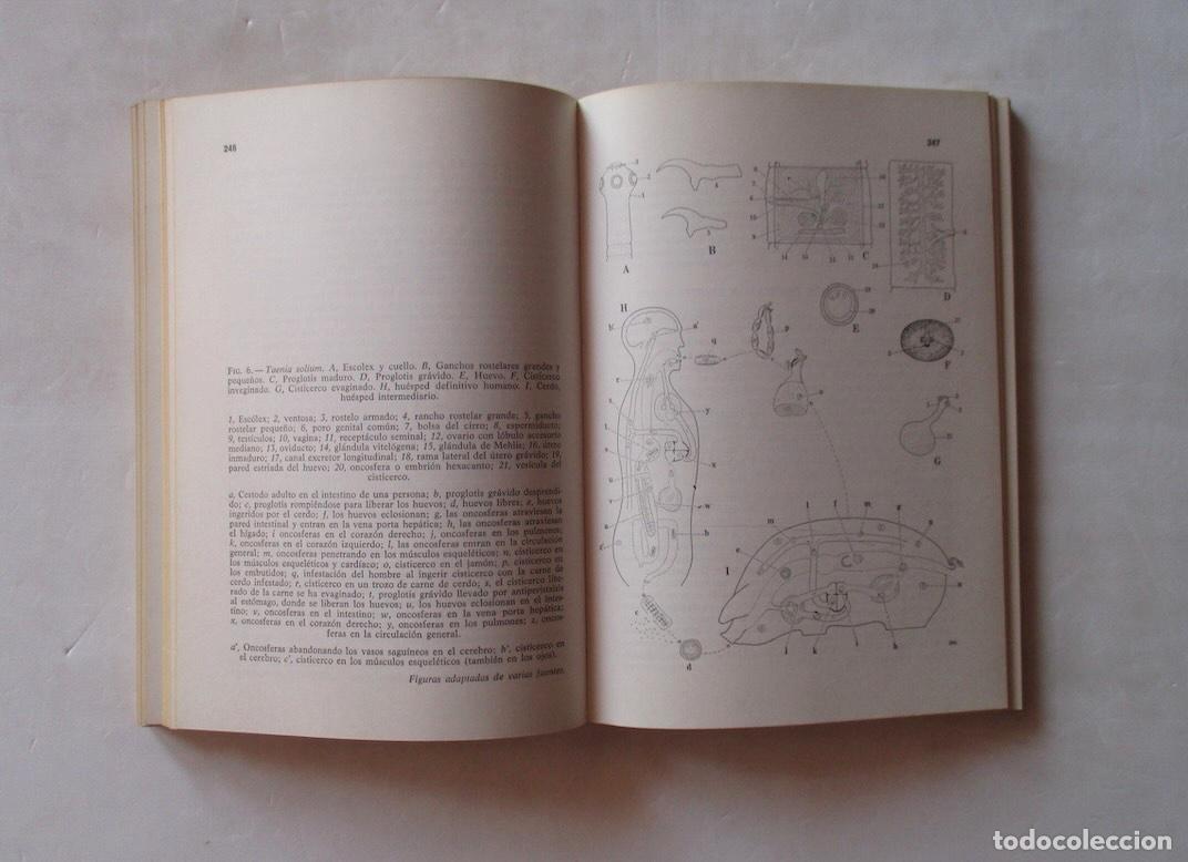 Libros de segunda mano: LAS ZOONOSIS - LAUREANO SAIZ MORENO - Foto 6