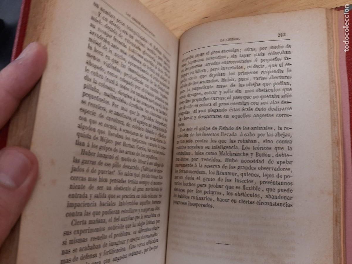 Libros de segunda mano: El insecto - Michelet, Jules - Biblioteca Selecta, 1875 - Foto 6