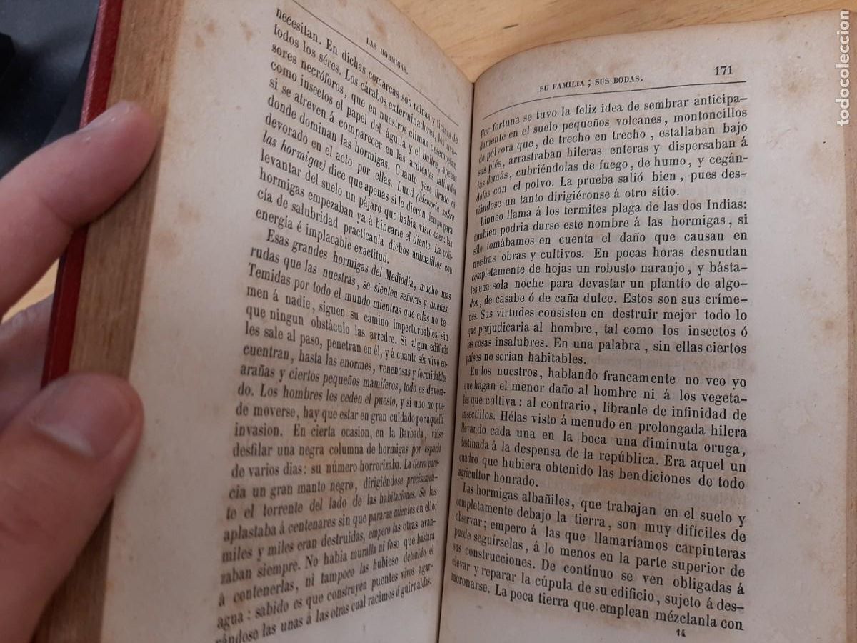 Libros de segunda mano: El insecto - Michelet, Jules - Biblioteca Selecta, 1875 - Foto 7