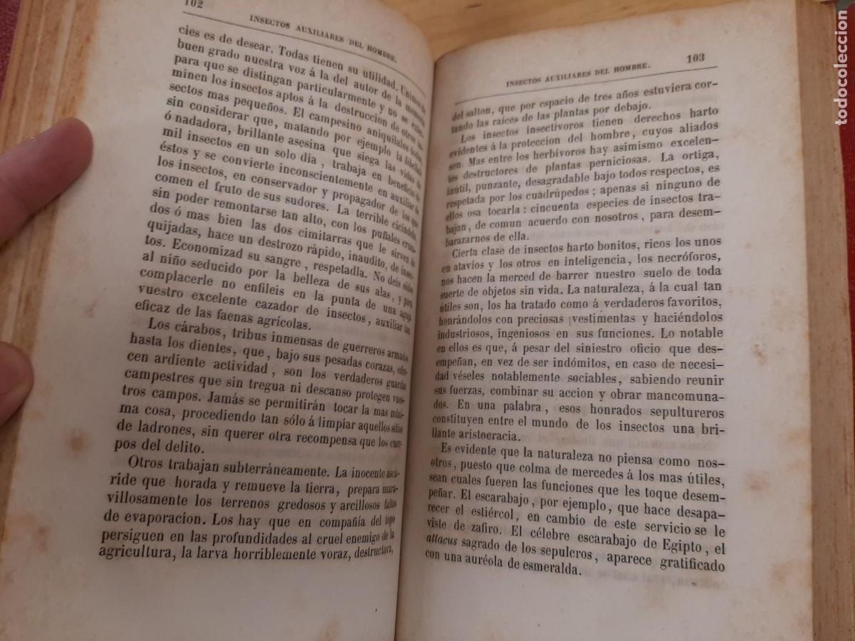 Libros de segunda mano: El insecto - Michelet, Jules - Biblioteca Selecta, 1875 - Foto 8