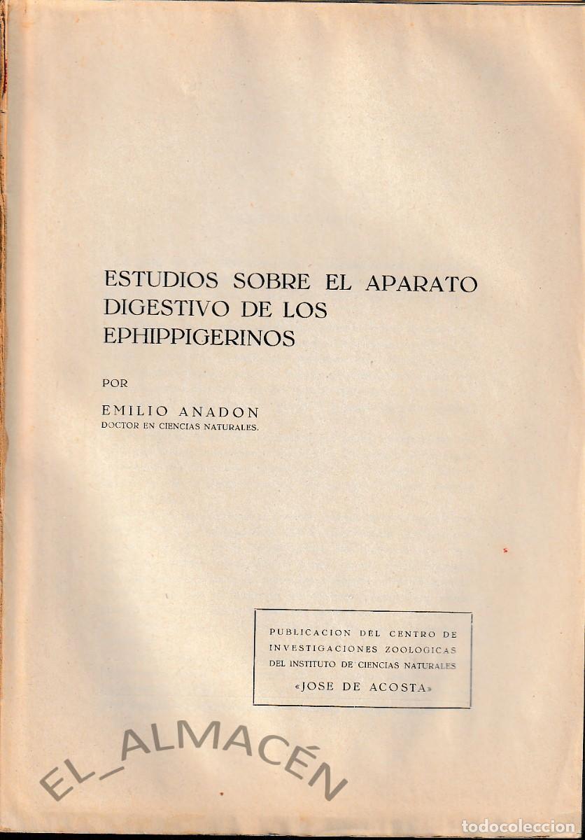 Libros de segunda mano: ESTUDIOS SOBRE EL APARATO DIGESTIVO DE LOS EPHIPPIGERINOS (E. ANAD&Oacute;N, 1949) SIN USAR - Foto 1